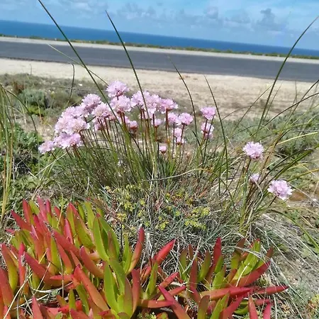 Camarcao Violante Apartment Foz do Arelho