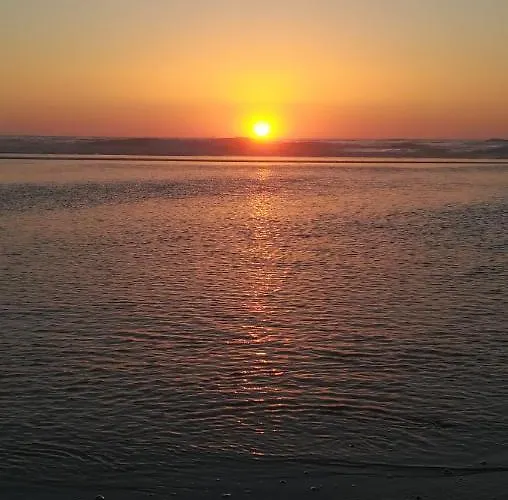 Camarcao Violante 포즈도아렐로