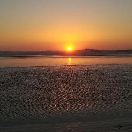 Camarção Violante *