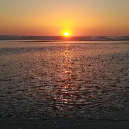 Camarção Violante Foz do Arelho