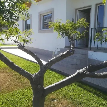 Appartement Camarção Violante