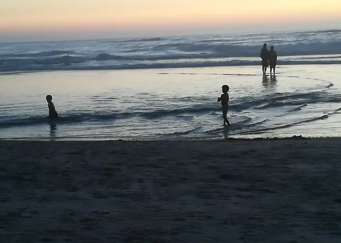 Daire Camarcao Violante *