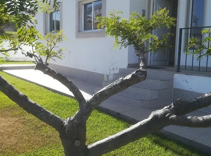 Daire Camarcao Violante